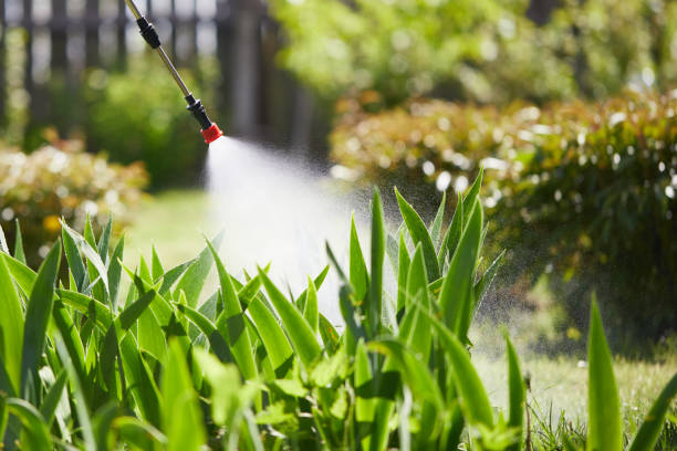 24/7 Emergency Cockroach Control experts in Payne, OH